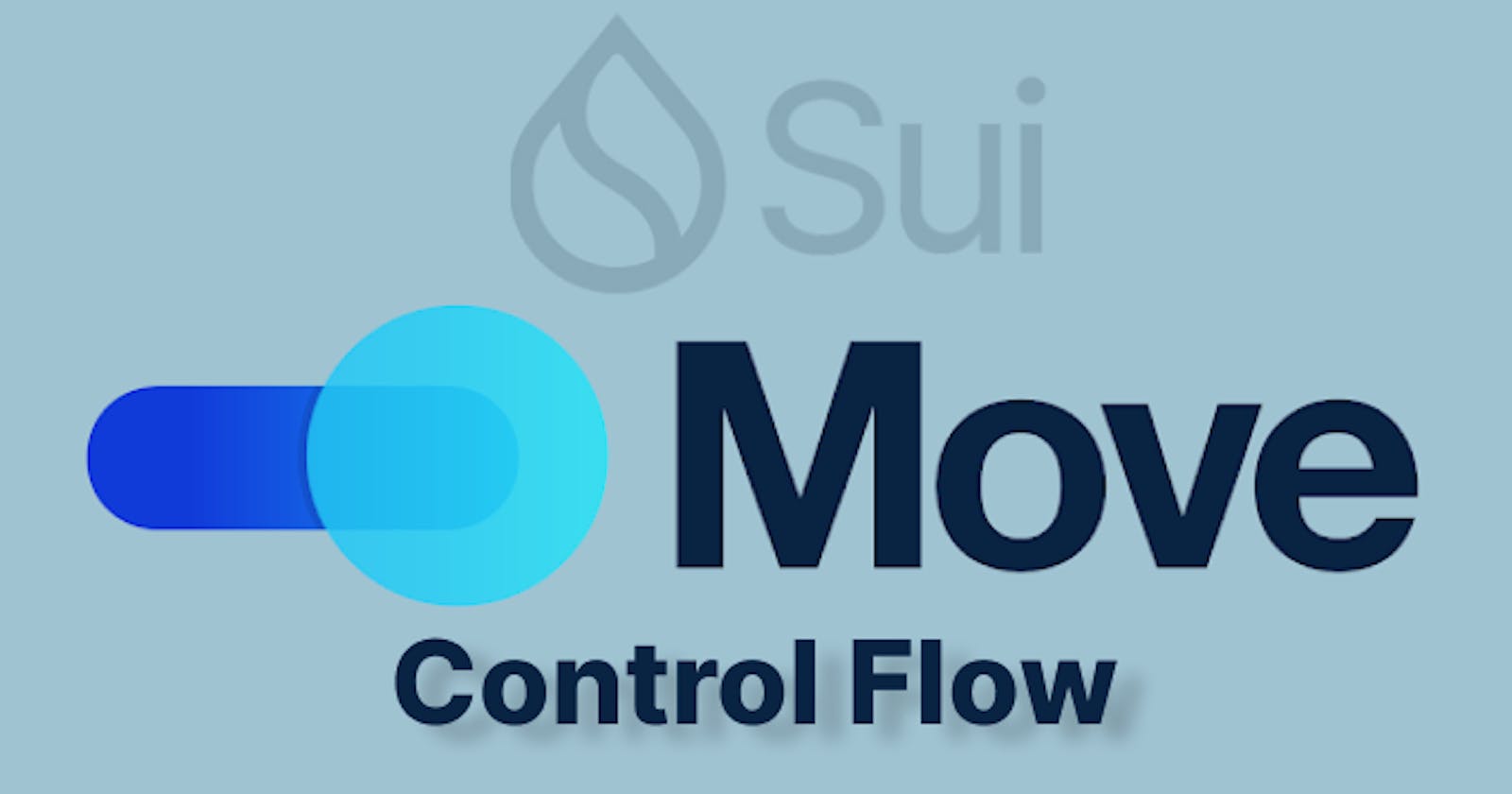 Sui Move Language - Control Flow