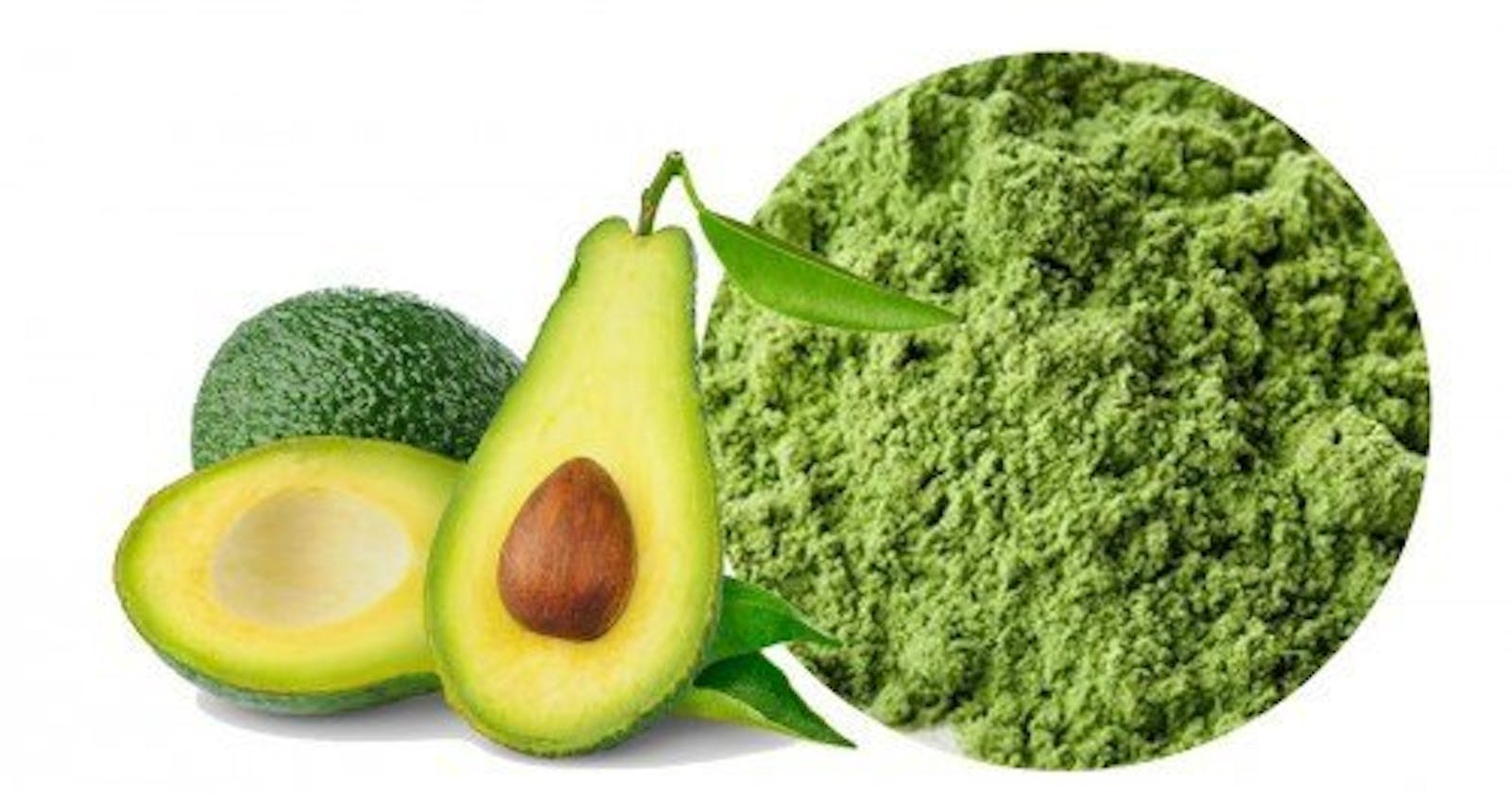 Avocado Powder Manufacturing Plant Project Report 2024: Manufacturing Process, Raw Materials, Cost and Revenue