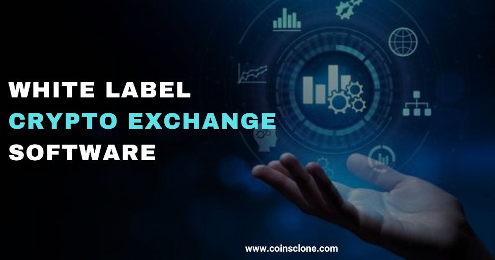 Why is white label cryptocurrency exchange software a better choice ??