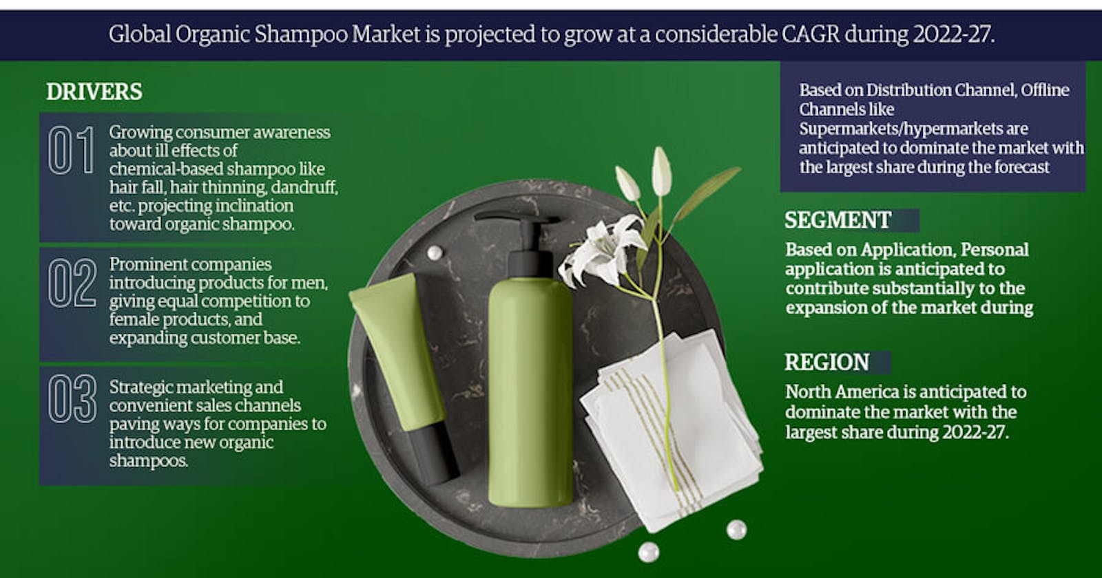Organic Shampoo Market Share, Size, and Growth Forecast:  CAGR (2022-27)