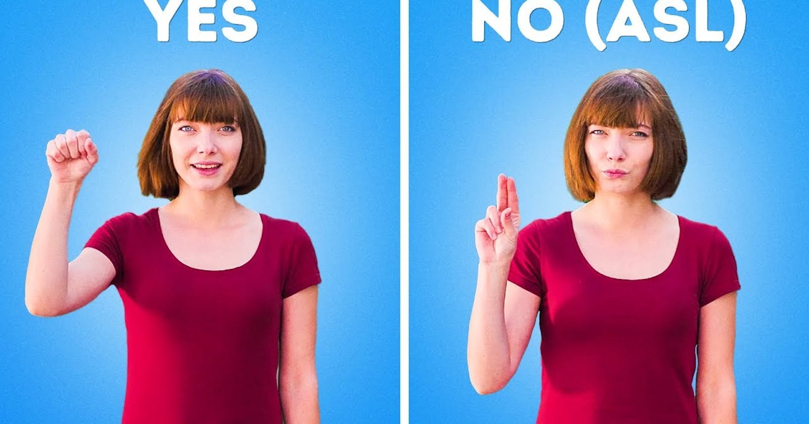 Express Yourself: Sing in Sign Language with Video & Image Guide