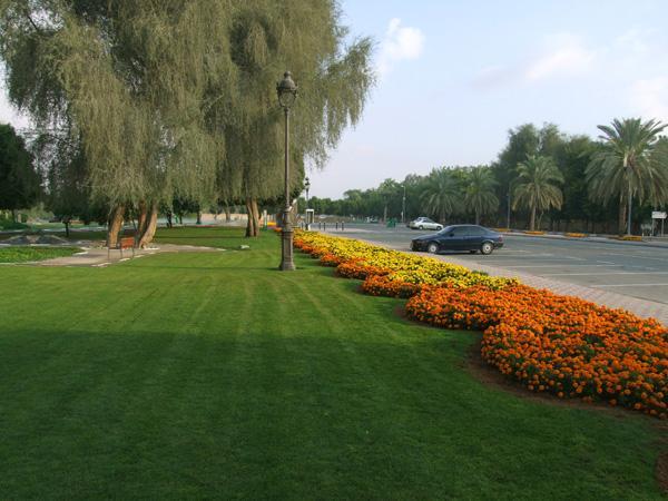 Sustaining Softscape Landscapes in Saudi Arabia: Strategies for Flourishing Greenery