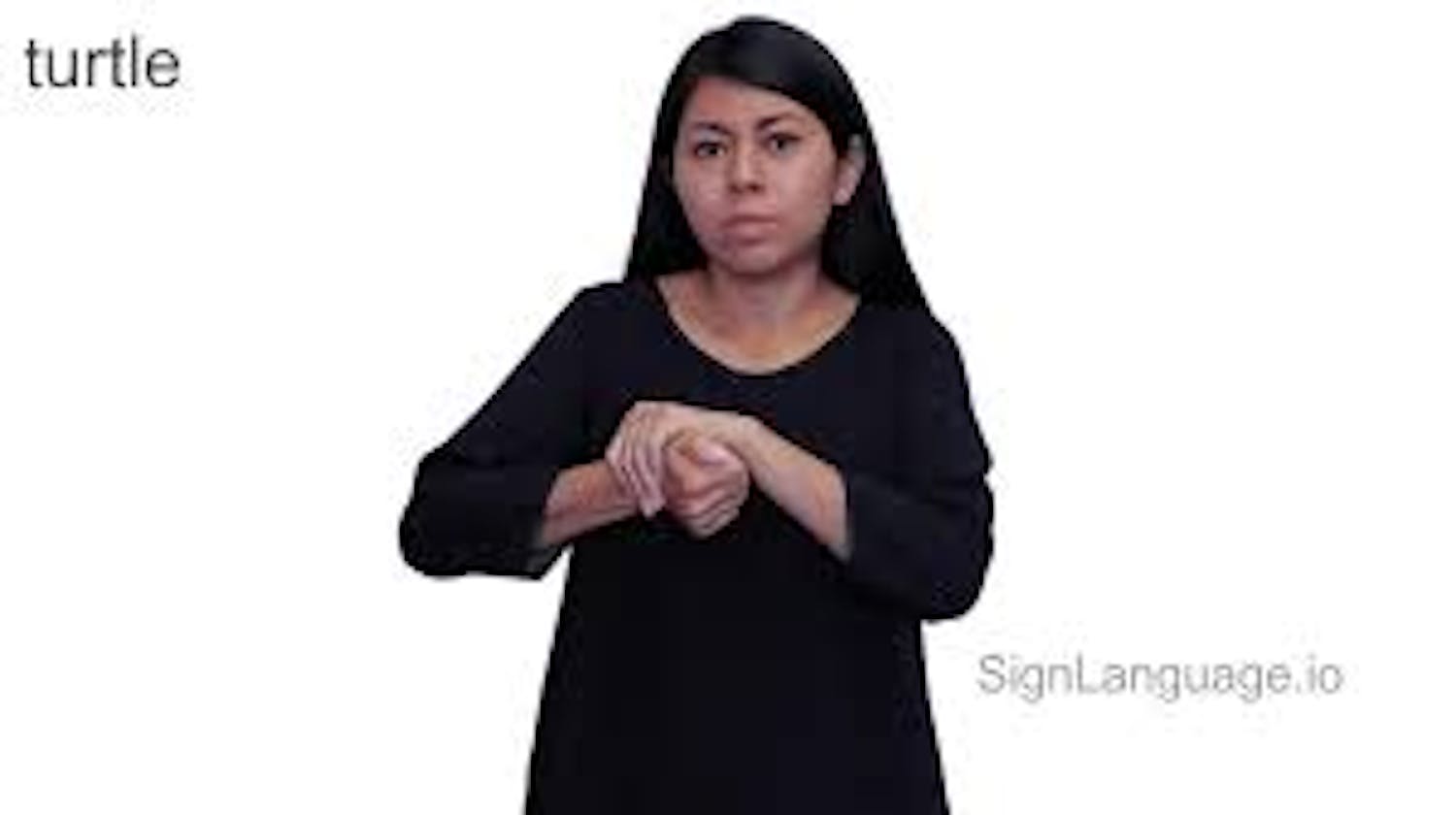 Unlocking the World of Turtle in Sign Language: A Visual Guide