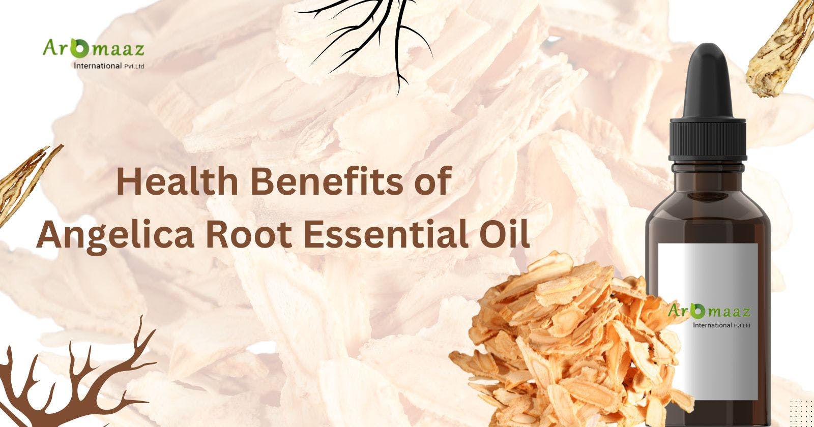 10 Health Benefits of  Angelica Root Essential Oil