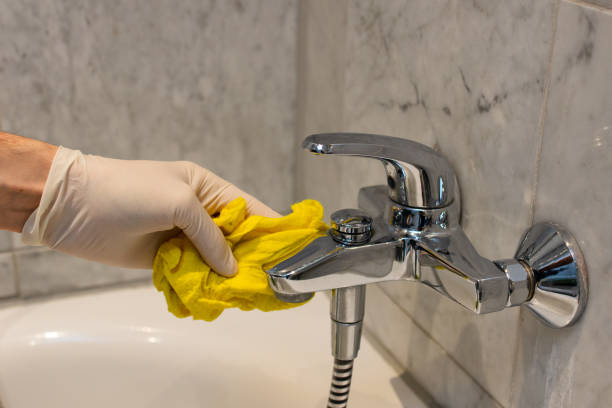 Steps professionals take to Clear Blocked Drain Sydney to maintain the system