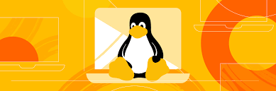 Advanced Linux Shell Scripting: DevOps Mastery with User Management
