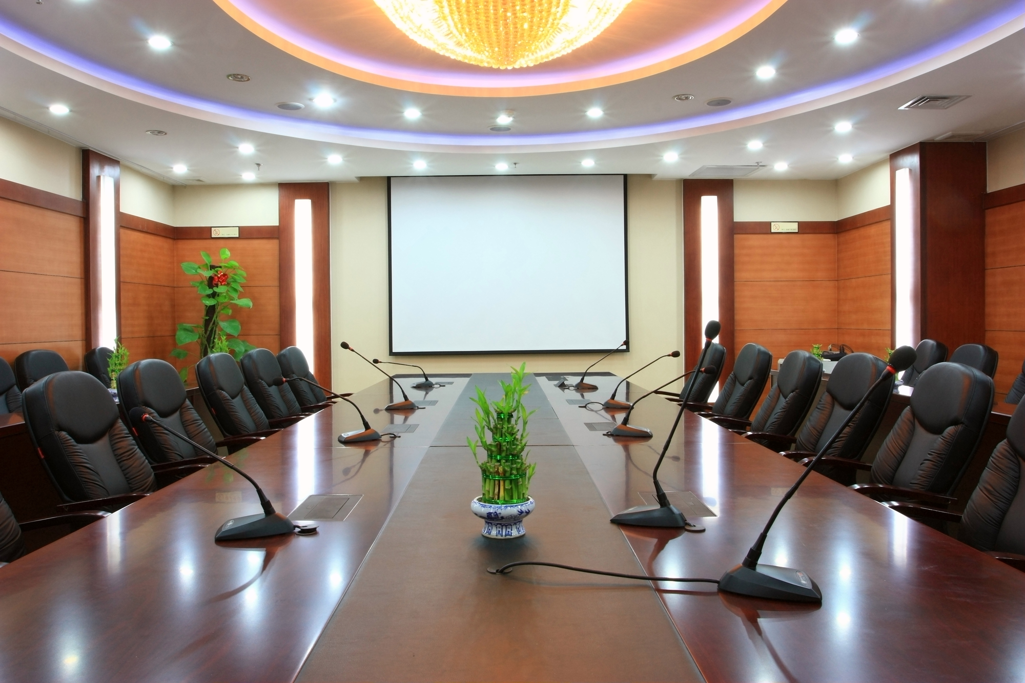 How Video Conferencing is Reshaping Communication in Houston Companies