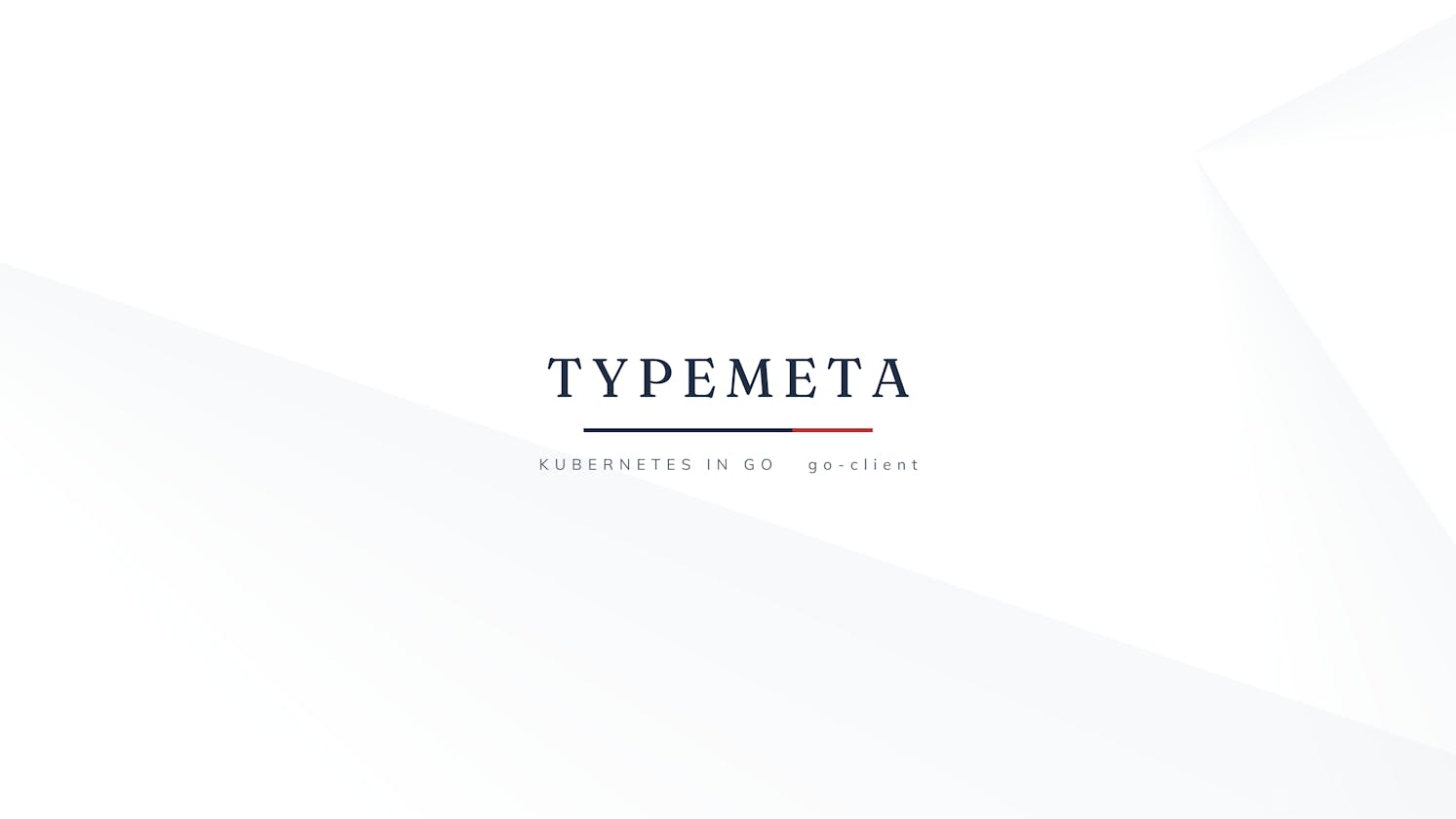 TypeMeta Struct