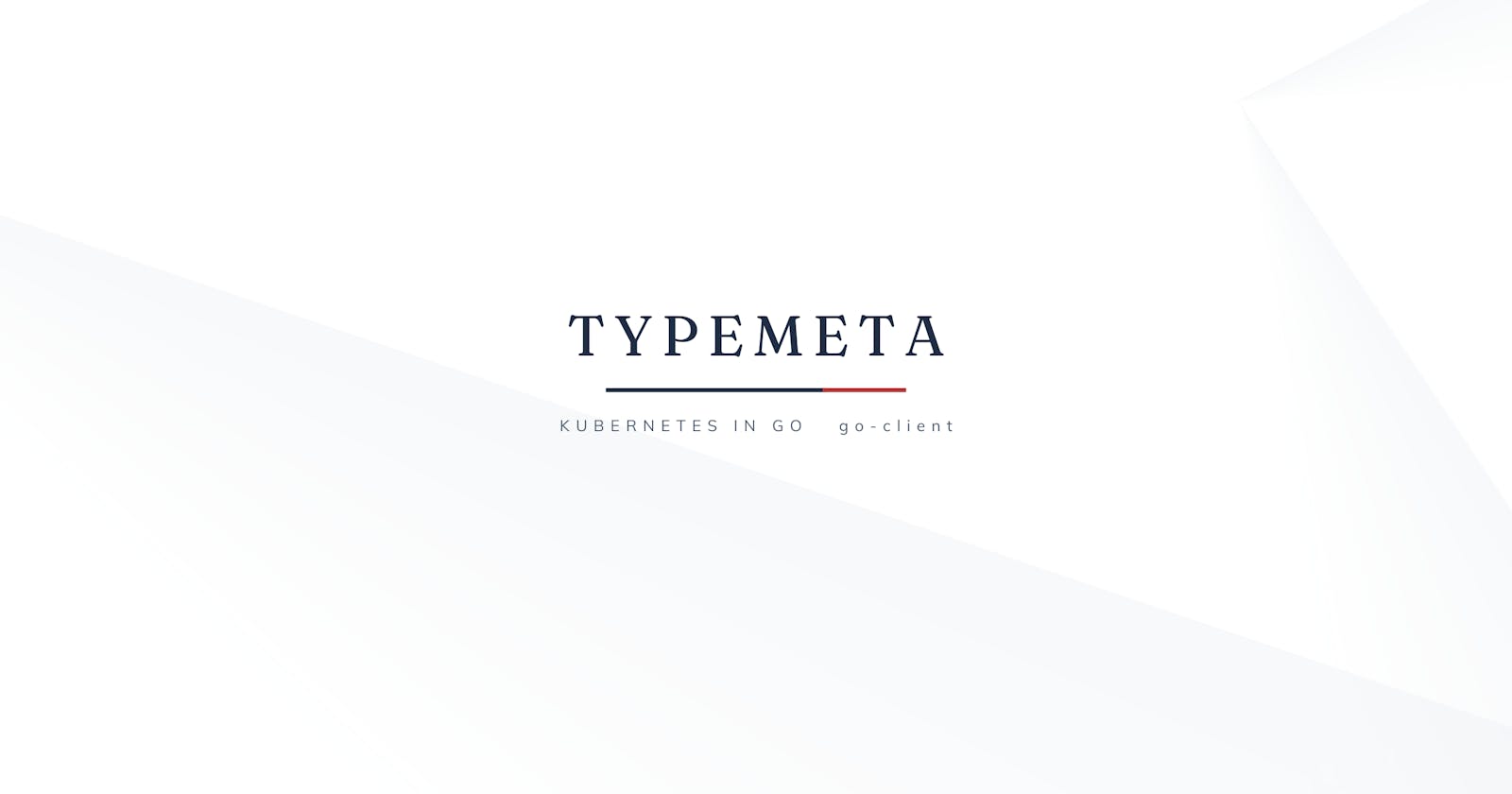 TypeMeta Struct