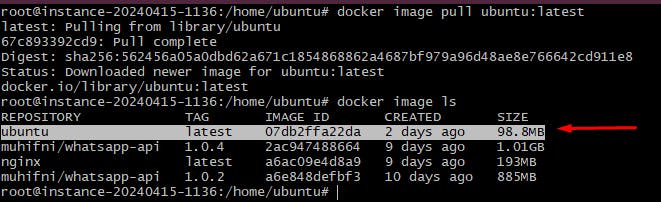 Docker image pull