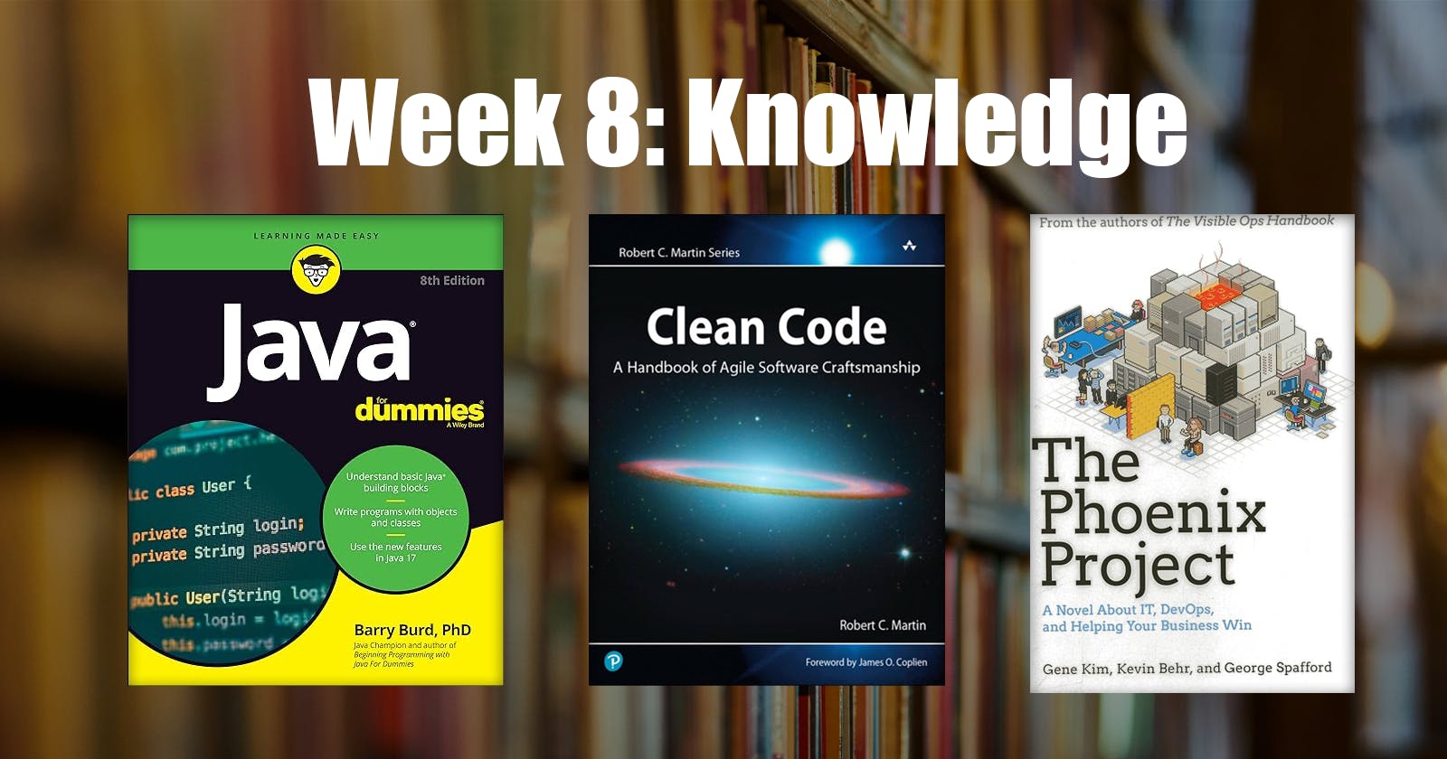 Journey to Fullstack - Week 8: Knowledge From Books