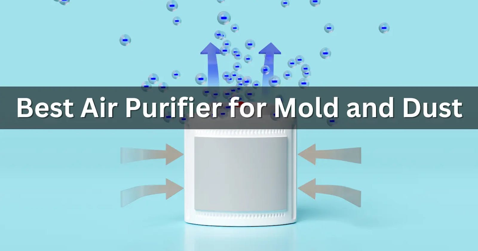 Best Air Purifier for Mold and Dust