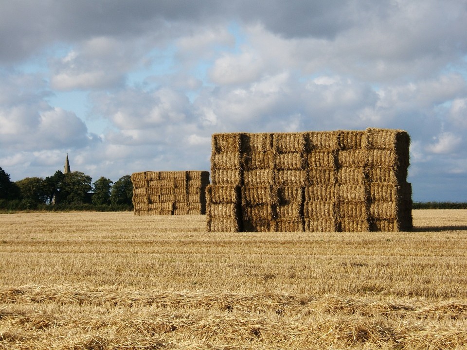 🦟Beyond the Needle in the Haystack | Maximizing SIEM's Potential Beyond Log Storage 💽