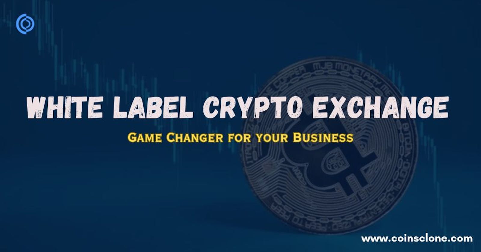 Revenue Factors to Consider When Choosing a White Label Cryptocurrency Exchange