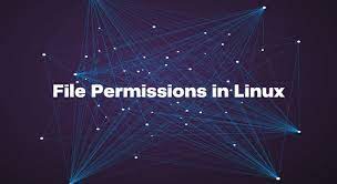 Day 6 Task: File Permissions and Access Control Lists