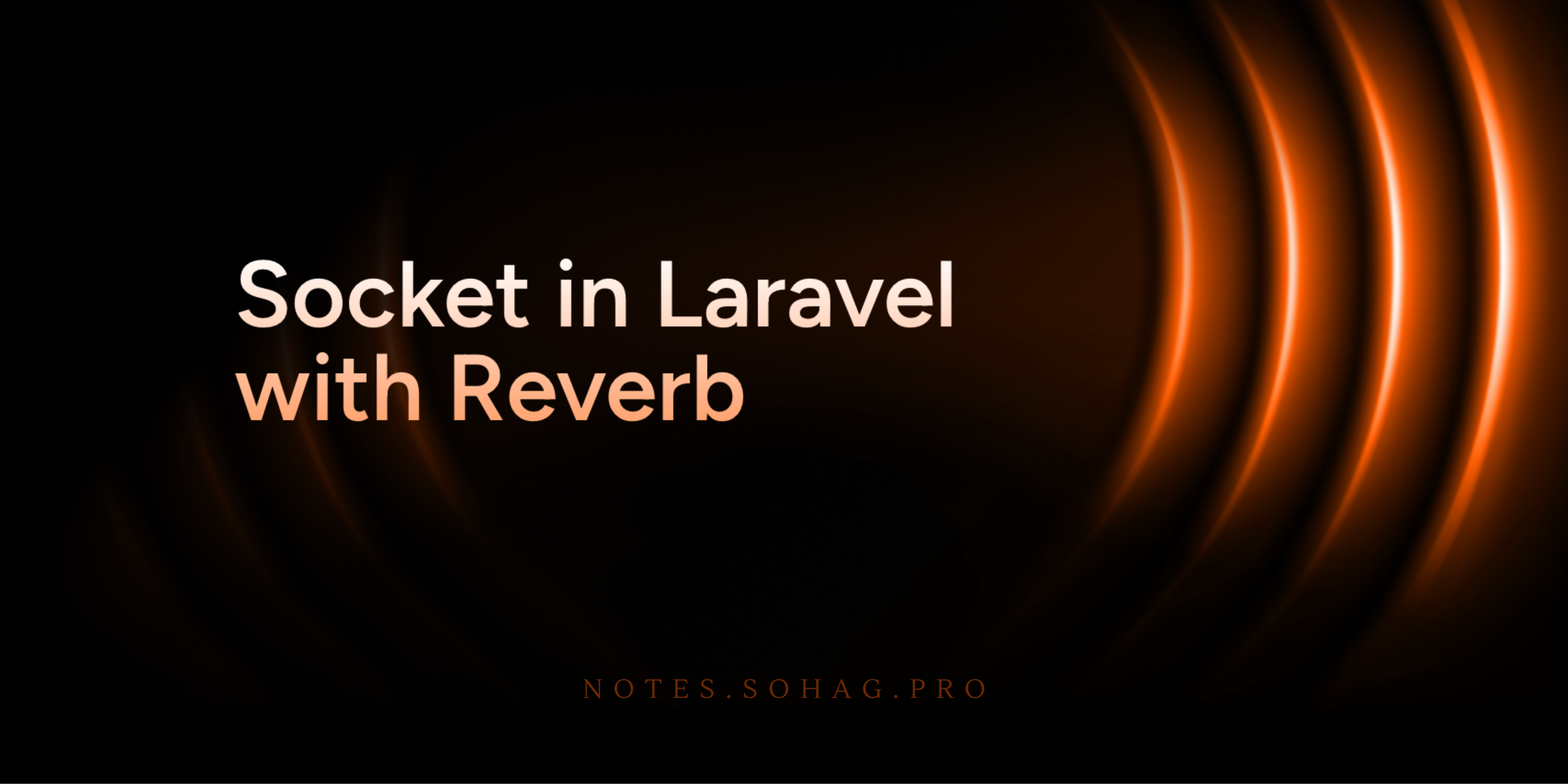 Socket in Laravel with Reverb