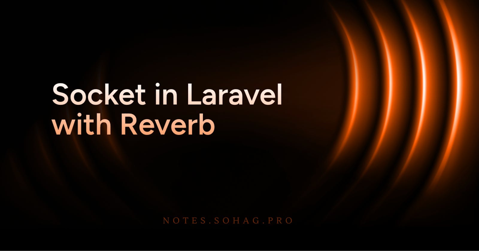 Socket in Laravel with Reverb