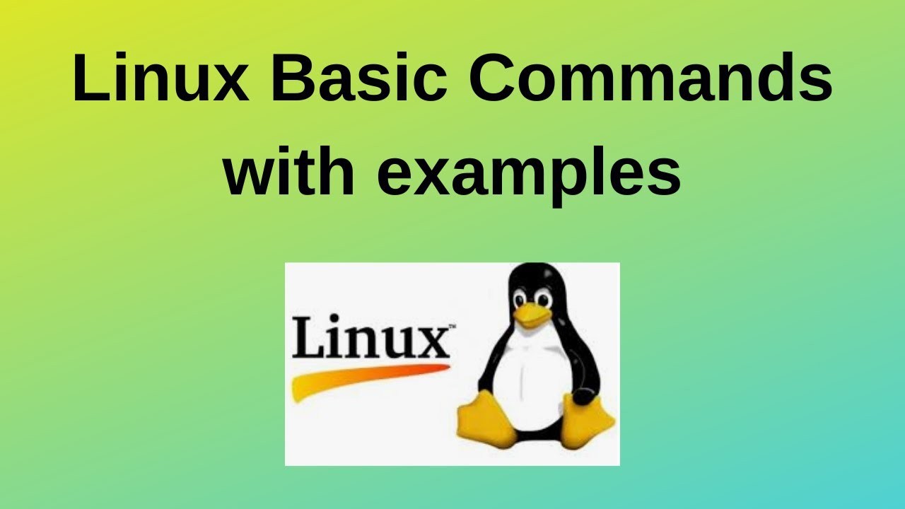 Day 3 - Basic Linux Commands