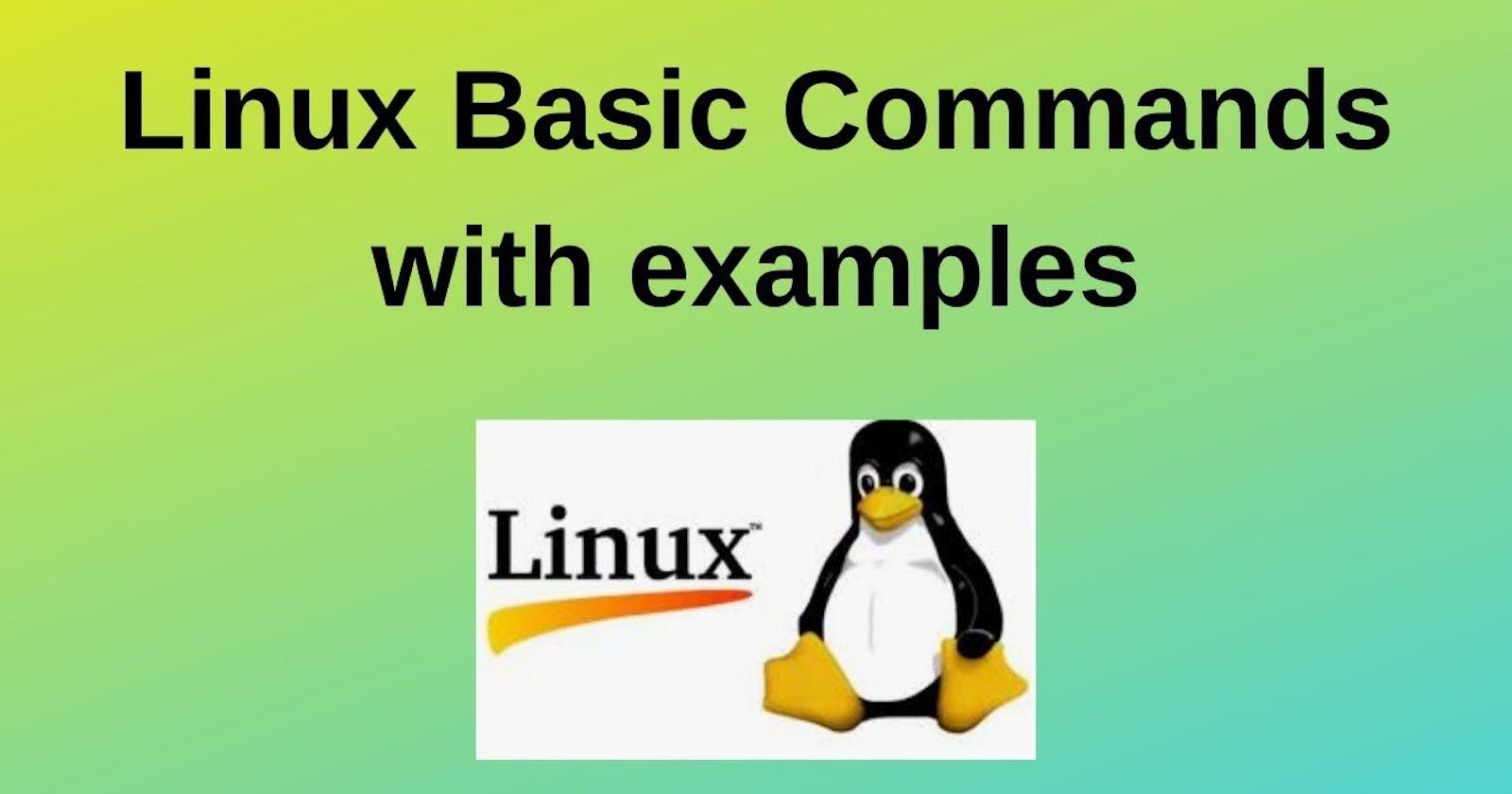 Day 3 - Basic Linux Commands