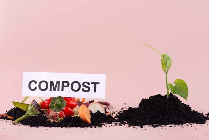 Eco-Friendly Living: Harnessing the Benefits of Composting