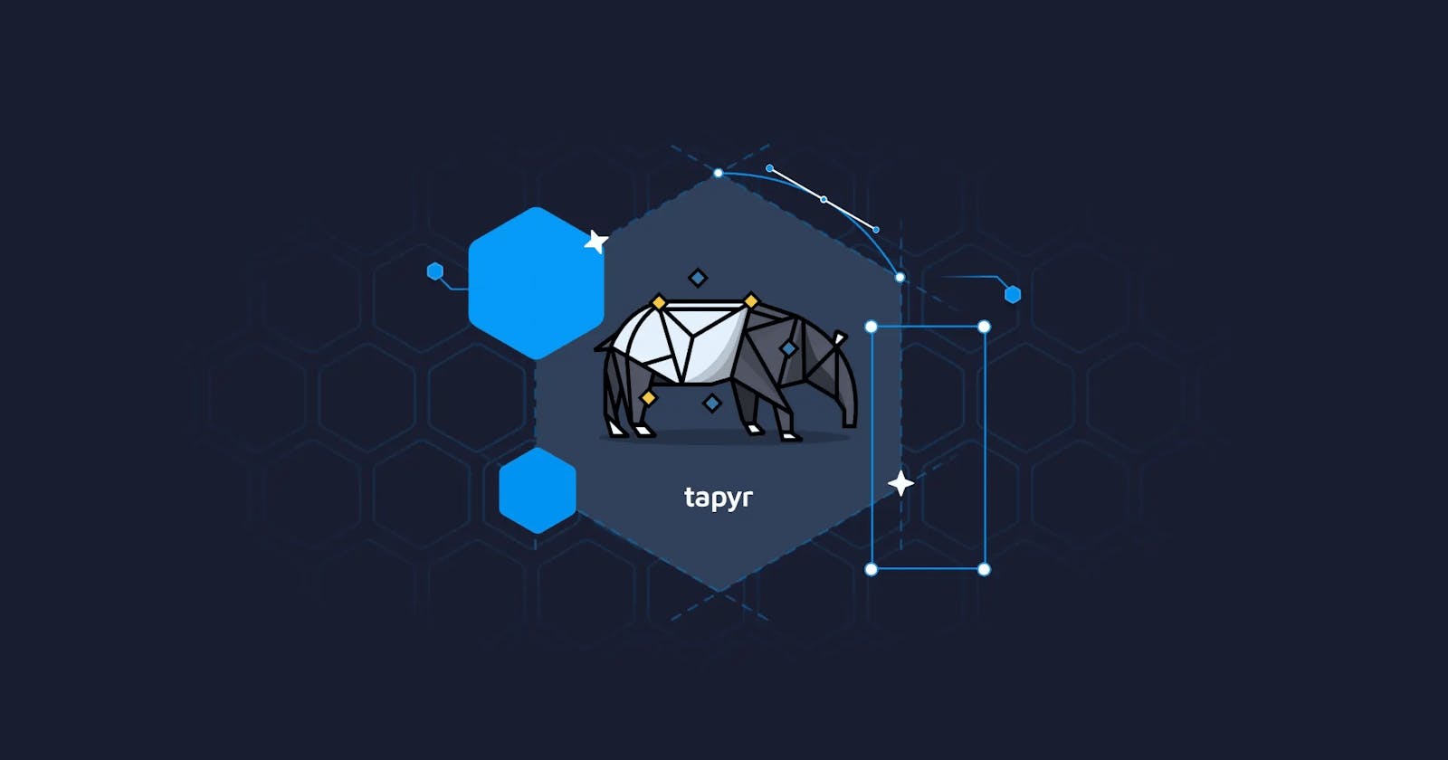 Introducing Tapyr: Create and Deploy Enterprise-Ready PyShiny Dashboards with Ease