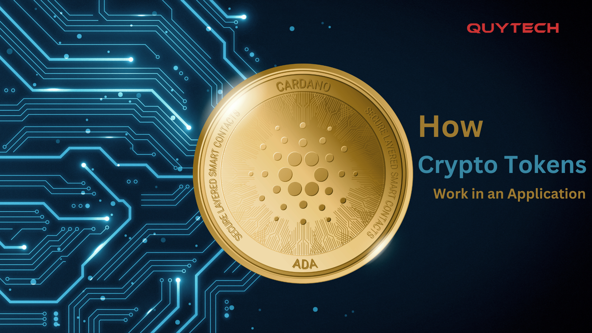 How Crypto Tokens Work in an Application: A Comprehensive Guide for Beginners