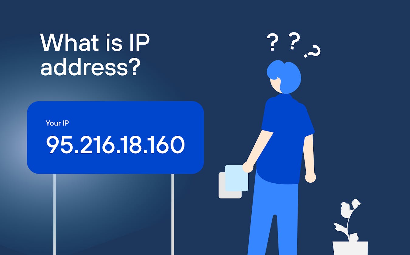 What is an IP Address ?