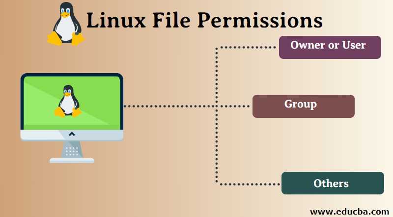 Day 6 - File Permissions and Access Control Lists