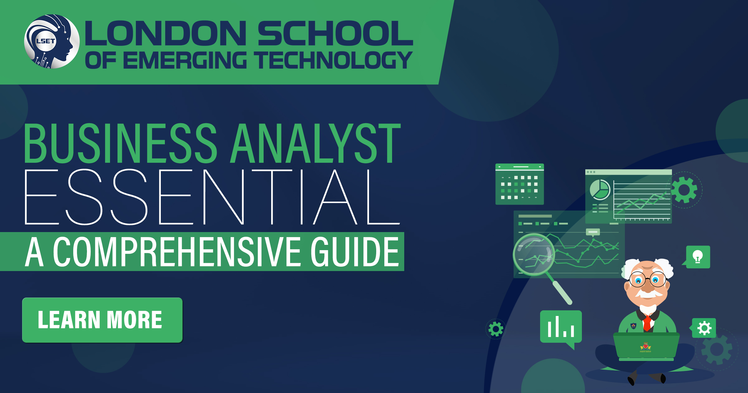 Business Analyst Essentials: A Comprehensive Guide"