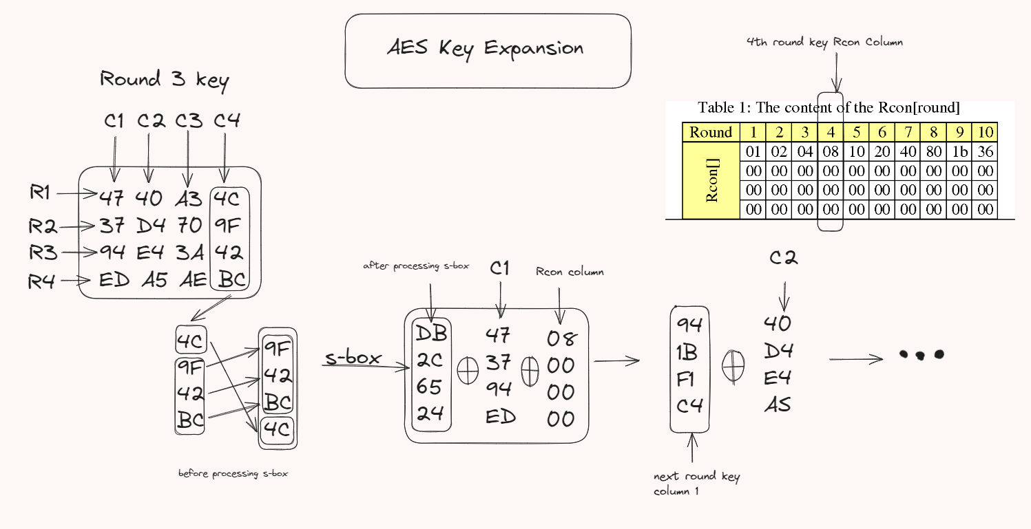 Demystifying AES Key Expansion: A Deep Dive into Secure Cryptography