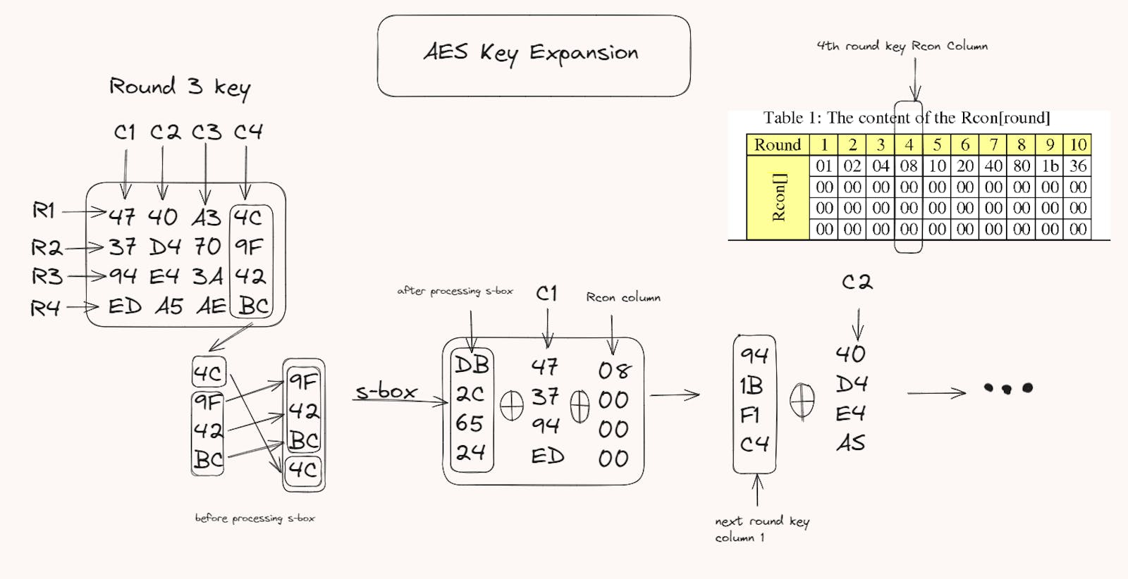Demystifying AES Key Expansion: A Deep Dive into Secure Cryptography