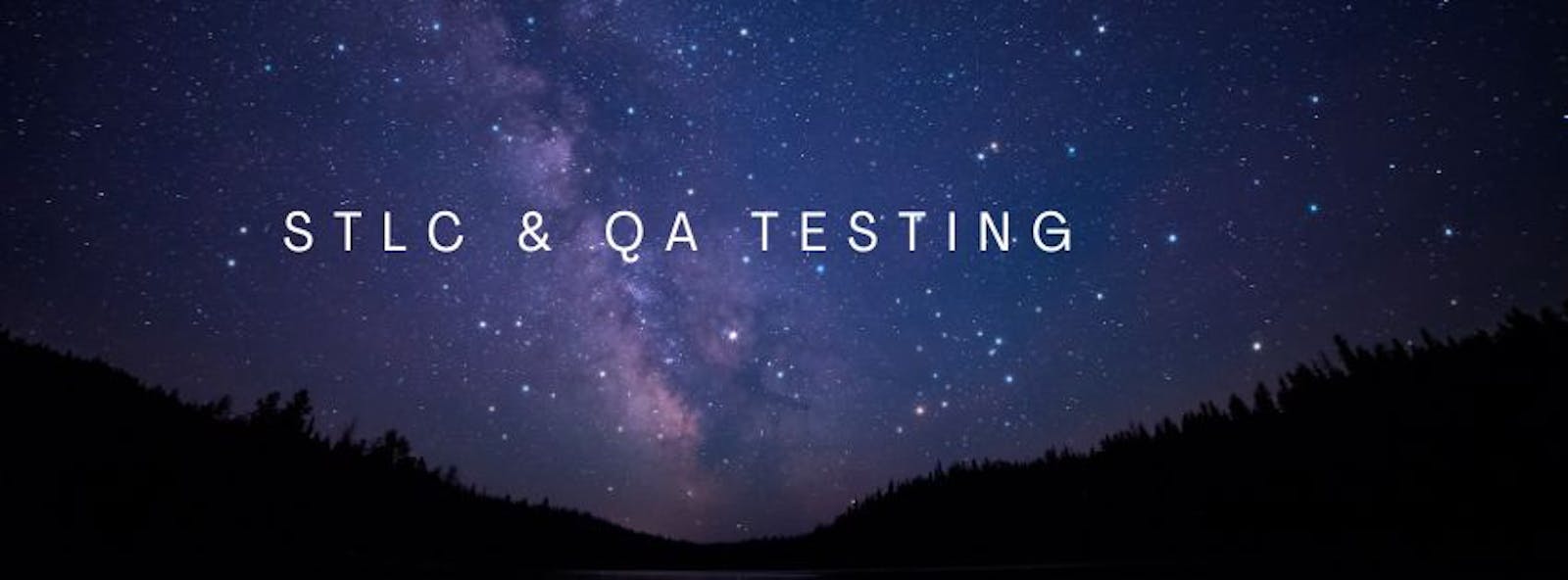 Task 3- STLC & QA Testing