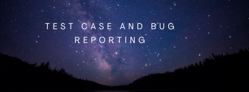 Task 5: Test case and bug reporting