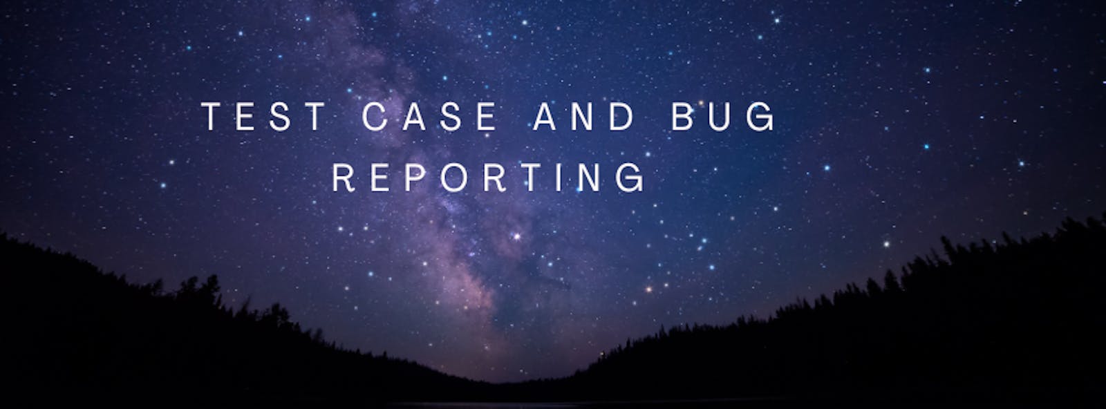 Task 5: Test case and bug reporting
