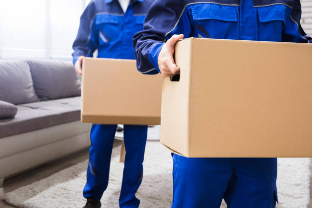 Streamlining Business Operations: Leveraging Labour Recruitment and Office Moving Services in Auckland