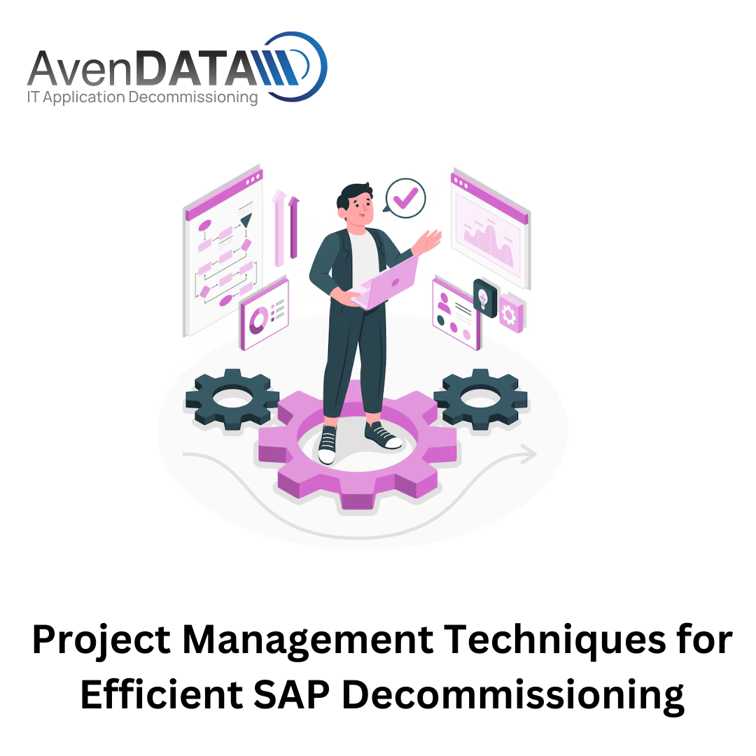 Project Management Techniques for Efficient SAP Decommissioning
