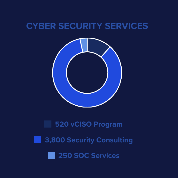 Cyber Security Services | CyberSecOp | Cyber Security Company