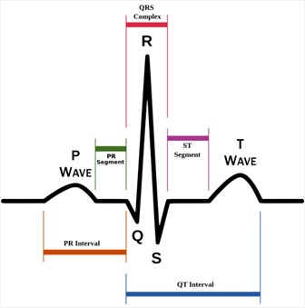 waveform-signal-with-waves