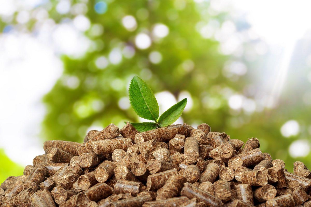 Biomass Solid Fuel: An Environmentally Friendly