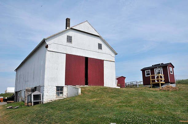 Amish Shed Uses Beyond Storage