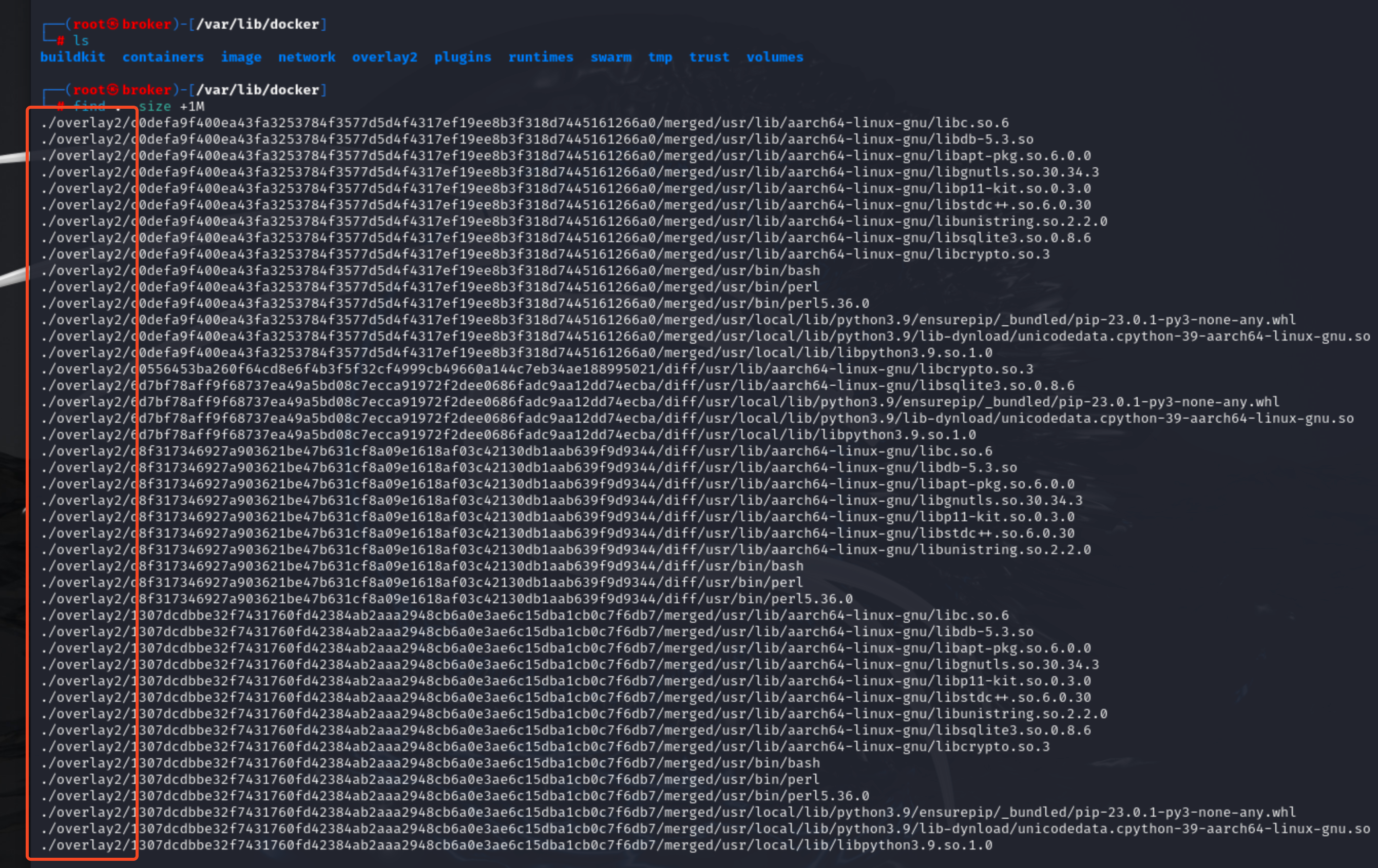 /var/lib/docker/overlay2 folder with binaries and shared objects
