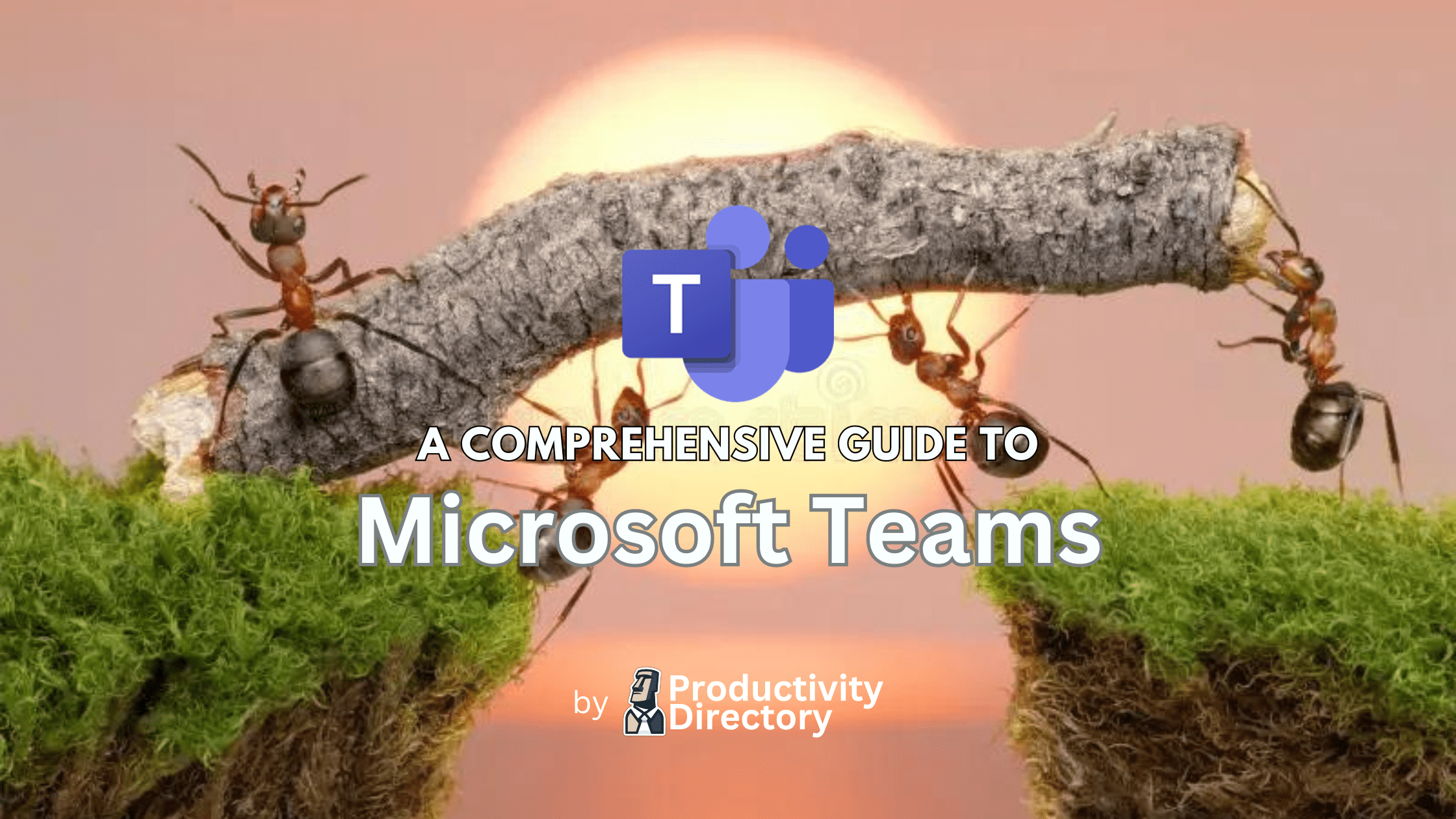 A Comprehensive Guide to Microsoft Teams