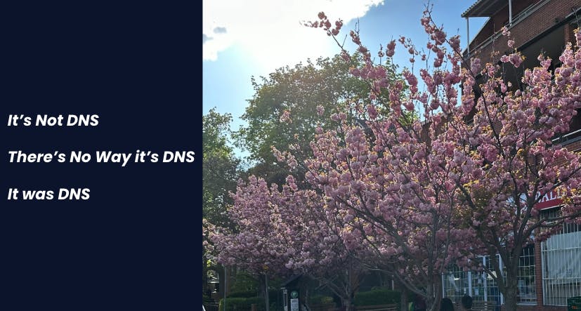 A meme image with text on the left side that reads, "It's Not DNS. There's No Way it's DNS. It was DNS." The right side shows a sunny outdoor scene with blooming pink cherry blossom trees and a building in the background.