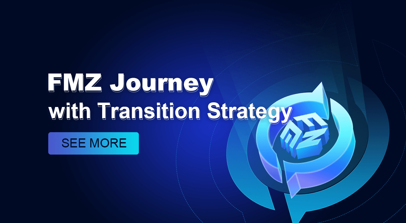 FMZ Journey -- with Transition Strategy