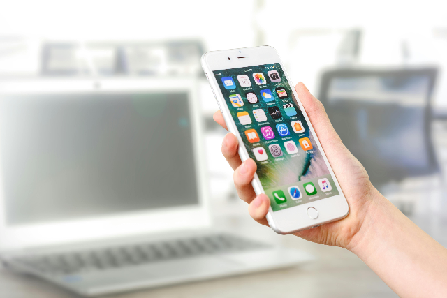 What will the cost of app maintenance in 2024 be?