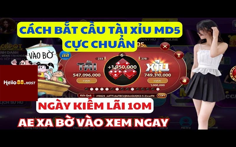 Chia sẻ cách soi cầu tài xỉu md5 trên cơ nhà cái Hello88