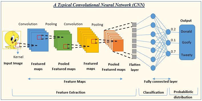 An Introduction to Convolutional Neural Networks (CNNs)