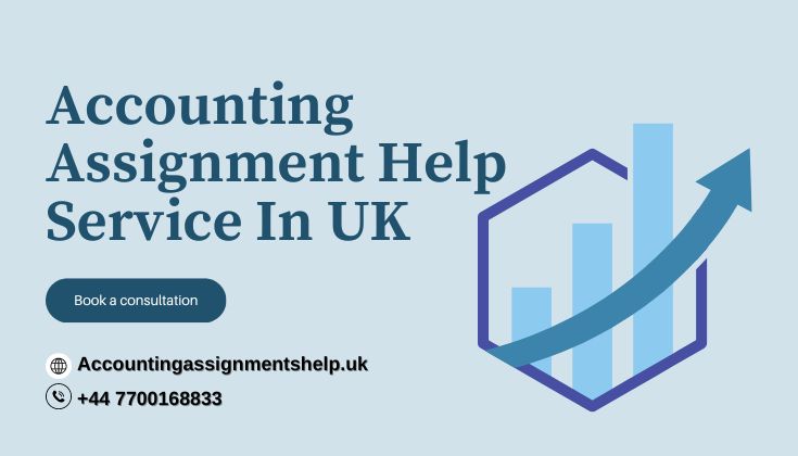Accounting Assignment Help in UK with Expert Guidance