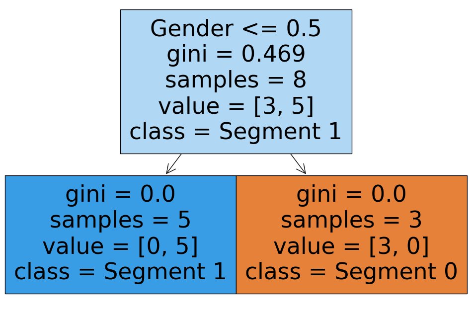 A decision tree diagram with a root node labeled "Gender <= 0.5" with gini = 0.469, samples = 8, value = [3, 5], and class = Segment 1. It splits into two child nodes: the left child node with gini = 0.0, samples = 5, value = [0, 5], and class = Segment 1, and the right child node with gini = 0.0, samples = 3, value = [3, 0], and class = Segment 0.