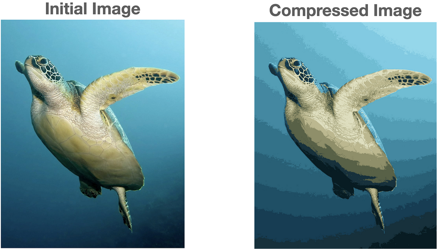 A comparison of two images of a sea turtle swimming underwater. The left image is labeled "Initial Image" and shows a clear, high-quality photo. The right image is labeled "Compressed Image" and shows a lower-quality, pixelated version of the same photo.